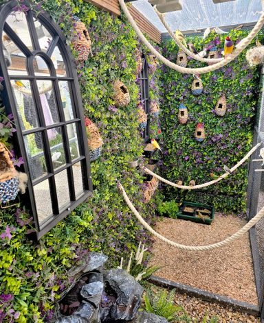 A lush indoor space with greenery, ropes with finches and canaries for sale